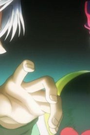 انمي هنتر x هنتر 2011 مدبلج الحلقة 31 : إنه الصمود