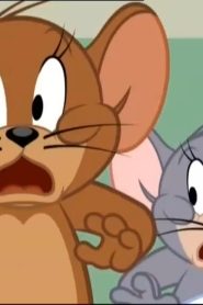 عرض توم وجيري الموسم 5 الحلقة 23 النمس الذي يحارب الكوبرا