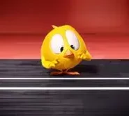 Where is Chicky?: 1×37