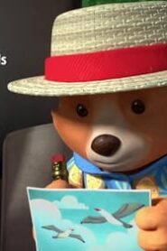The Adventures of Paddington: 3×17