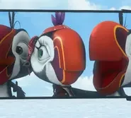 Puffins – The Series: 1×71