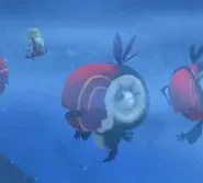 Puffins – The Series: 1×80
