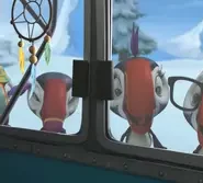 Puffins – The Series: 1×100
