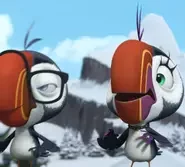 Puffins – The Series: 1×113