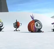 Puffins – The Series: 1×129