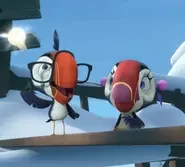 Puffins – The Series: 1×138