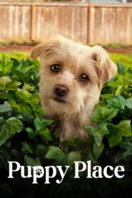 Puppy Place: Season 2