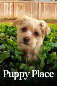 Puppy Place: Season 2
