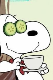 Camp Snoopy: 1×9