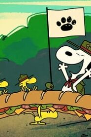 Camp Snoopy: 1×1