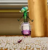 Lloyd of the Flies: 1×19